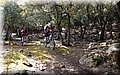 P4208709.JPG
