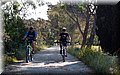 P4239004.JPG