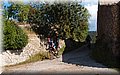 P4239007.JPG