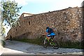 P4239008.JPG