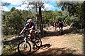 P4239046.JPG