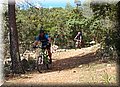 P4239058.JPG