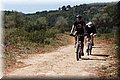 P4239080.JPG