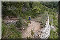 P5159358.JPG
