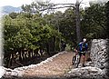 P5159368.JPG
