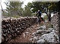 P5159373.JPG