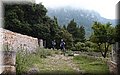 P5159397.JPG
