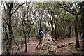 P5159431.JPG