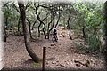 P5159449.JPG