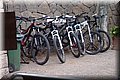 P5159460.JPG