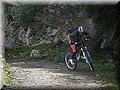 2013_01190110.JPG