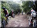 2013_01190120.JPG