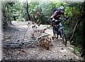 2013_01190126.JPG