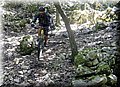 2013_01190154.JPG