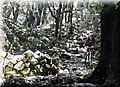 2013_01190155.JPG