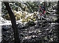 2013_01190156.JPG