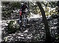 2013_01190157.JPG