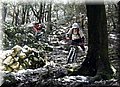 2013_01190159.JPG