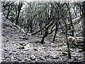 2013_01190160.JPG