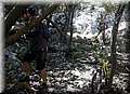 2013_01190163.JPG