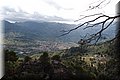 P5189513.JPG