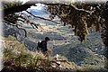 P5189568.JPG