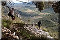 P5189575.JPG