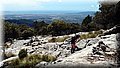 P5189585.JPG
