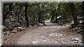 P5250018.JPG