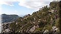 P5250027.JPG