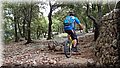 P5250030.JPG