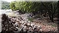 P5250033.JPG