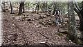P5250037.JPG