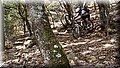 P5250040.JPG