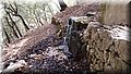 P5250050.JPG