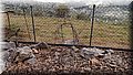 P5250056.JPG