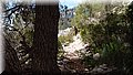 P5250071.JPG