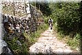 P6041016.JPG