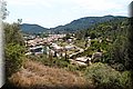 P6041050.JPG