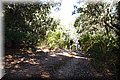 P6152103.JPG