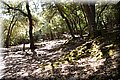 P6152107.JPG