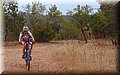 P6182349.JPG
