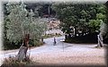 P6182378.JPG
