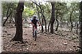 P6182400.JPG