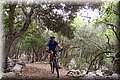 P6182430.JPG