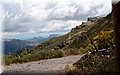 P6222611.JPG