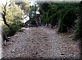 P6292873.JPG