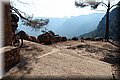 P6292877.JPG