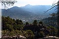 P6292882.JPG