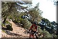 P6292884.JPG